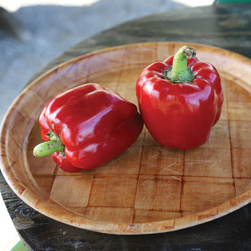 Pepper Calwonder Seed