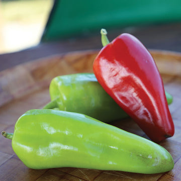 Pepper Cubanelle Seed