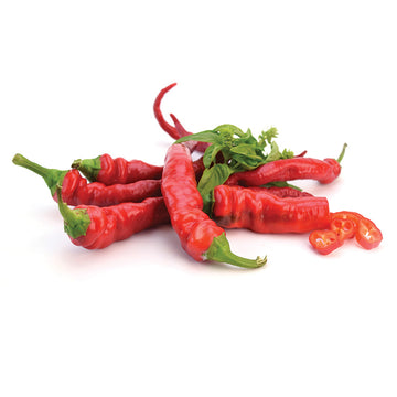 Pepper Hot Portugal Seed