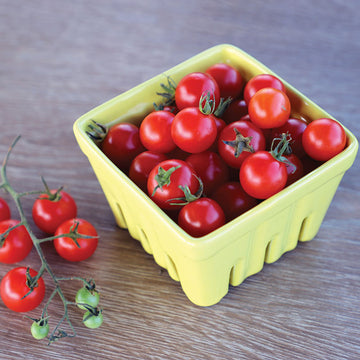 Tomato Supersweet 100 F1 Seed