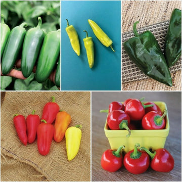 Pepper Seed Collection - Hot Peppers Seed