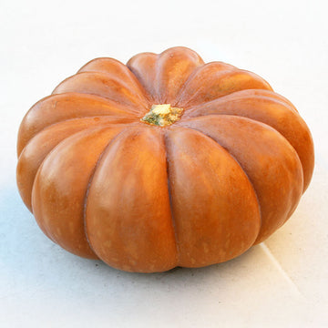 Pumpkin Fairytale Seeds