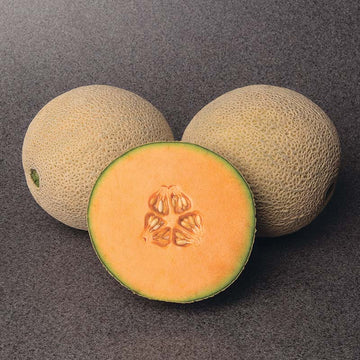 Melon Gold Crown F1 Seed