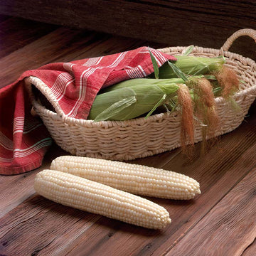 Sweet Corn Biotech Milky Way F1 Seed