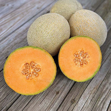 Melon Thunderstruck F1 Seed