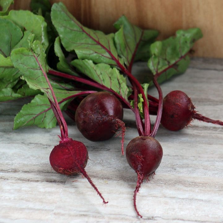 Beet Seeds