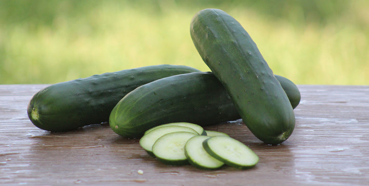 Cucumber Seeds