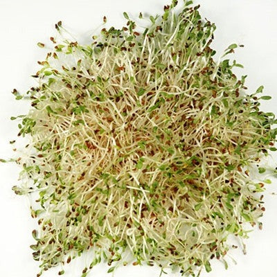 Sprouts Seeds