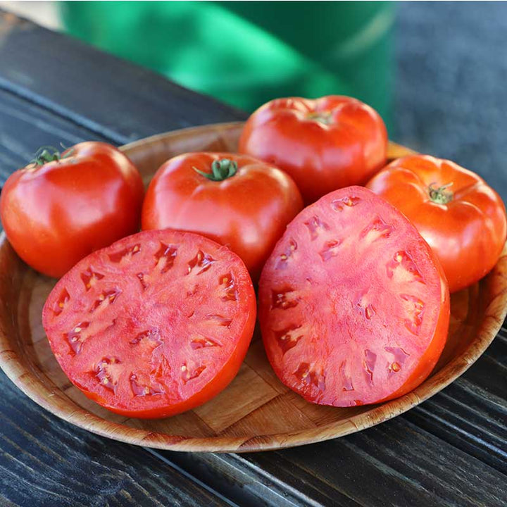Tomato Seeds
