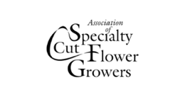 Association of Specialty Cut Flower Growers logo